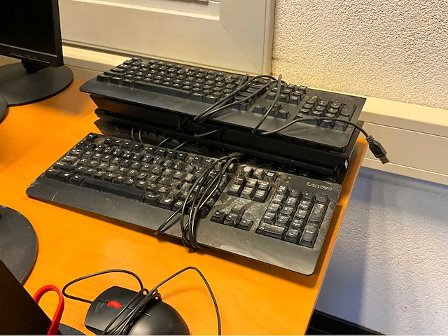 Monitors en divers - afbeelding 3 van  3