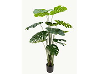 Monstera kunstplant (160cm hoog) - afbeelding 7 van  14