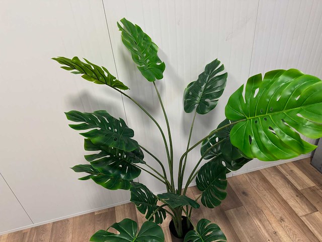 Monstera kunstplant (160cm hoog) - afbeelding 10 van  14