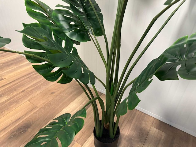 Monstera kunstplant (160cm hoog) - afbeelding 12 van  14