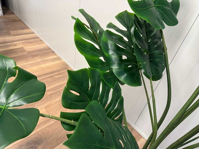 Monstera kunstplant (160cm hoog) - afbeelding 3 van  3
