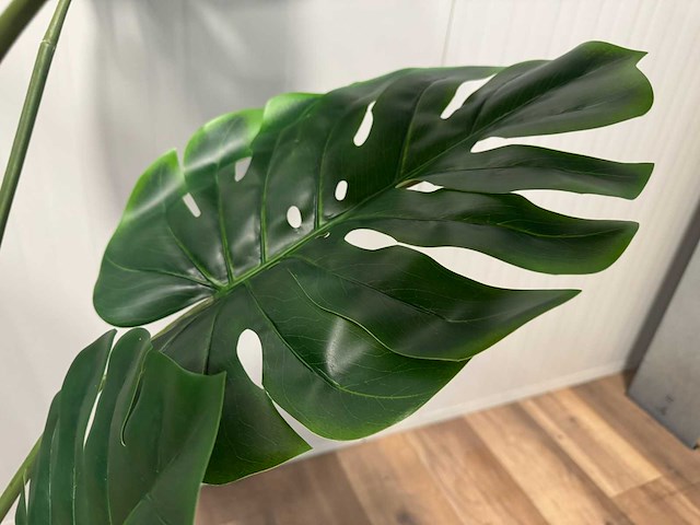 Monstera kunstplant (160cm hoog) - afbeelding 4 van  14