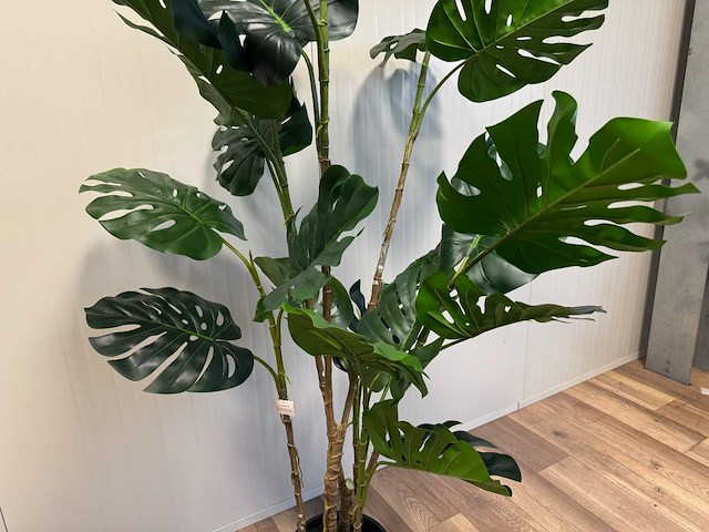 Monstera kunstplant (190cm hoog) - afbeelding 13 van  16