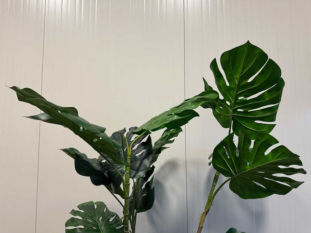 Monstera kunstplant (190cm hoog) - afbeelding 12 van  16