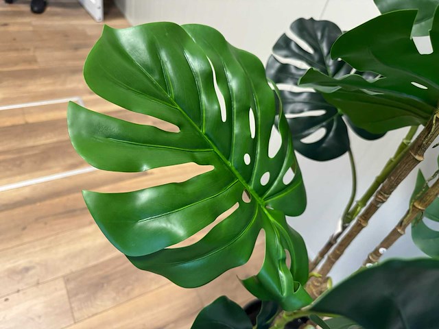 Monstera kunstplant (190cm hoog) - afbeelding 10 van  10