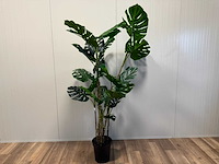 Monstera kunstplant (190cm hoog) - afbeelding 10 van  16