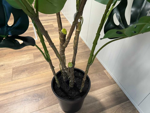 Monstera kunstplant (190cm hoog) - afbeelding 12 van  16