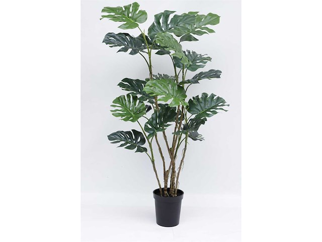 Monstera kunstplant (190cm hoog) - afbeelding 9 van  16
