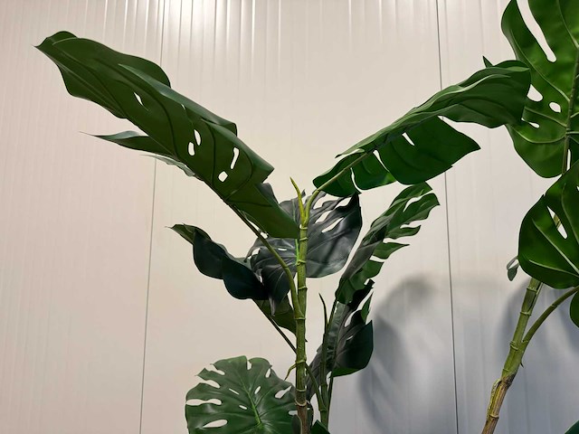 Monstera kunstplant (190cm hoog) - afbeelding 13 van  16