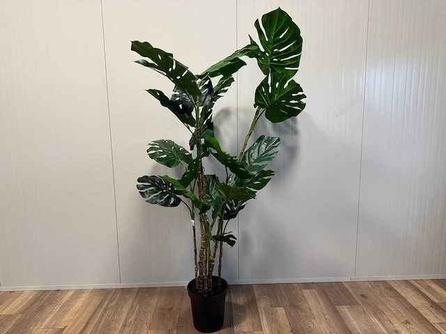 Monstera kunstplant (190cm hoog) - afbeelding 10 van  16