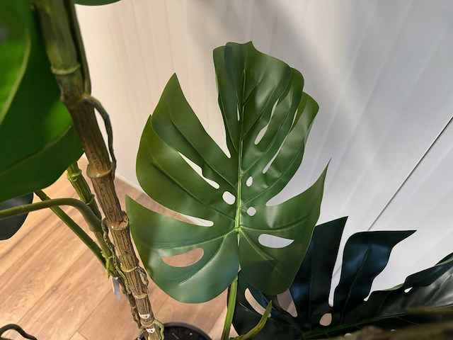 Monstera kunstplant (190cm hoog) - afbeelding 12 van  13