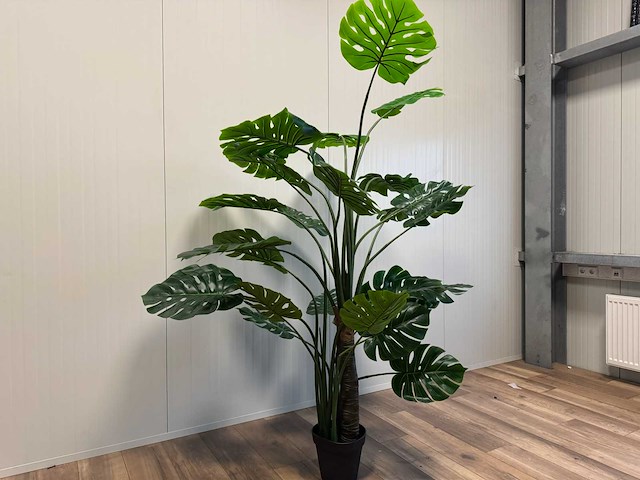 Monstera kunstplant (215cm hoog) - afbeelding 12 van  13