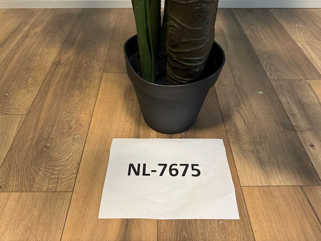Monstera kunstplant (215cm hoog) - afbeelding 5 van  13