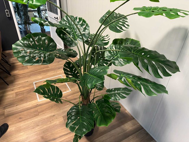 Monstera kunstplant (215cm hoog) - afbeelding 8 van  8