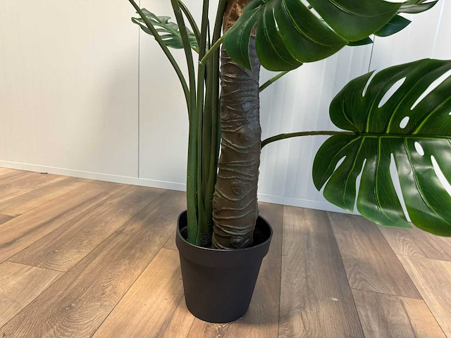 Monstera kunstplant (215cm hoog) - afbeelding 3 van  4