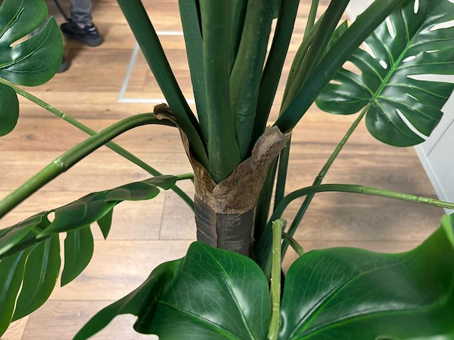 Monstera kunstplant (215cm hoog) - afbeelding 3 van  13