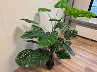 Monstera kunstplant (215cm hoog) - afbeelding 9 van  13