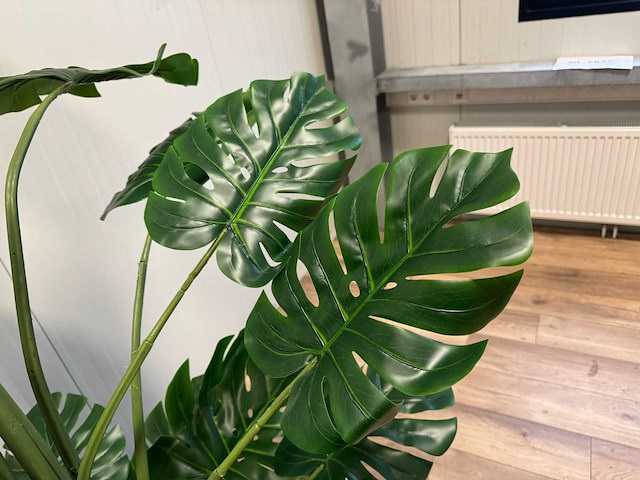 Monstera kunstplant (215cm hoog) - afbeelding 10 van  13