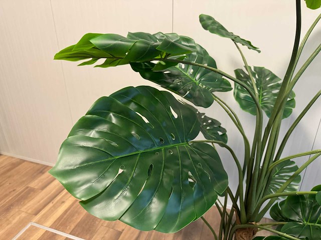 Monstera kunstplant (215cm hoog) - afbeelding 11 van  13