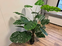 Monstera kunstplant (215cm hoog) - afbeelding 9 van  13