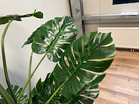 Monstera kunstplant (215cm hoog) - afbeelding 10 van  13