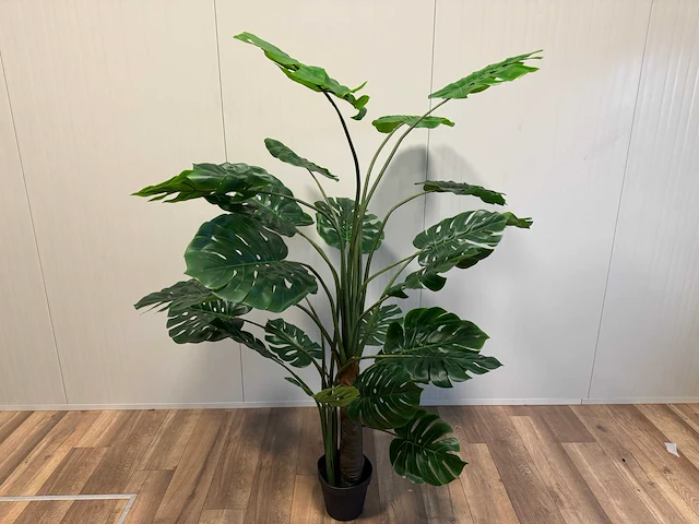Monstera kunstplant (215cm hoog) - afbeelding 8 van  13