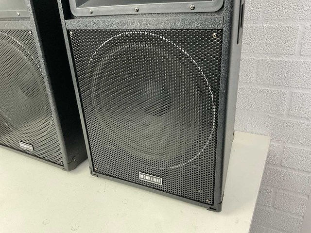 Moonlight 12 inch full range luidspreker - afbeelding 4 van  5