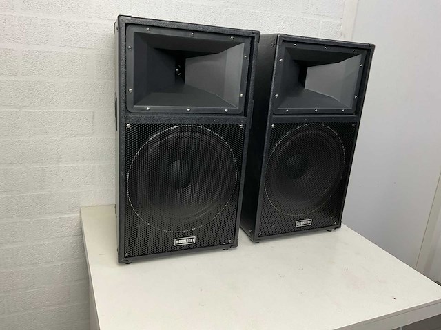Moonlight 12 inch full range luidspreker - afbeelding 2 van  6