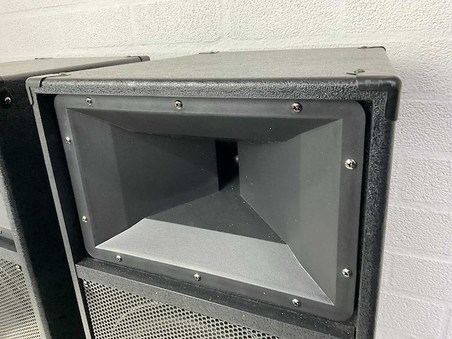 Moonlight 12 inch full range luidspreker - afbeelding 4 van  6