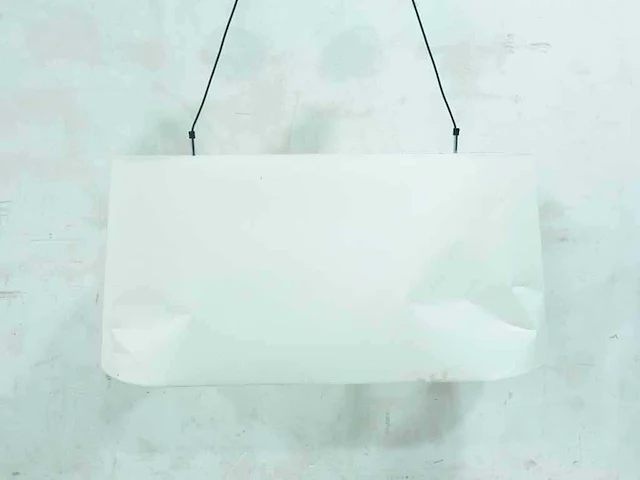Moooi - hanglamp ovaal (2x) - afbeelding 3 van  4