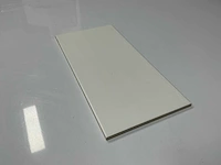 Mosa - mat wit - 15 x 30 cm - wandtegel - 25,5m2 - afbeelding 6 van  7
