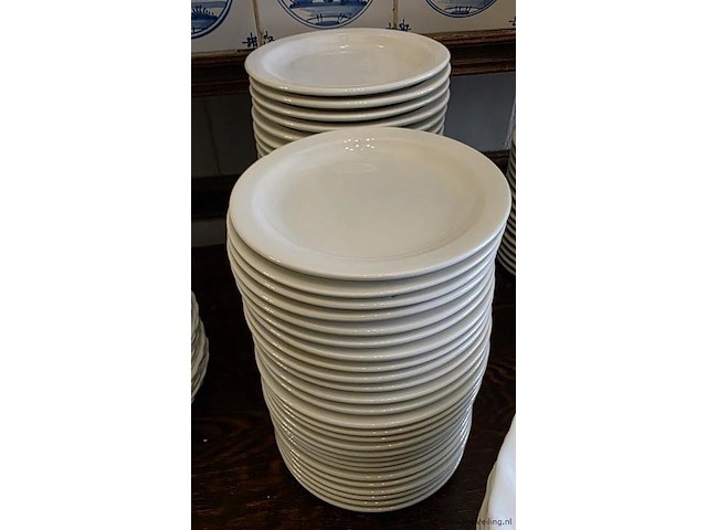 Mosa gebakschotels - 55 stuks - afbeelding 1 van  2