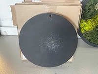 Moss art - wanddecoratie (6x) - afbeelding 4 van  4