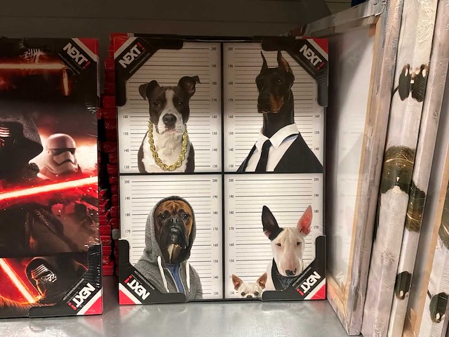 Most wanted dogs schilderij (24x) - afbeelding 1 van  1