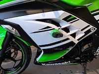 Motor, kawasaki, ninja 300 anniversary edition, 2015 - afbeelding 4 van  33