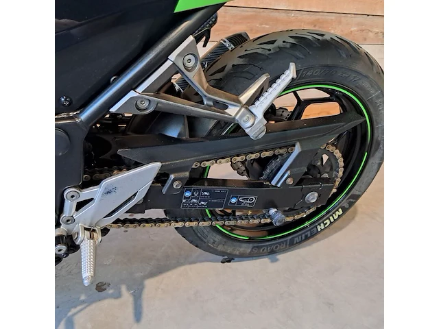 Motor, kawasaki, ninja 300 anniversary edition, 2015 - afbeelding 8 van  33
