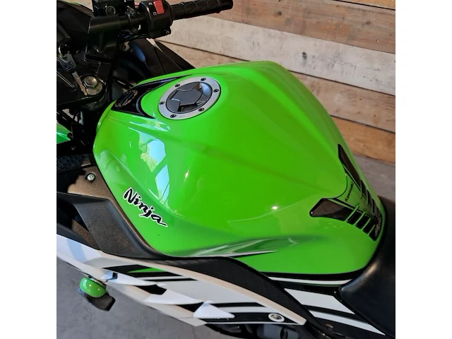 Motor, kawasaki, ninja 300 anniversary edition, 2015 - afbeelding 14 van  33
