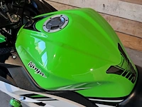 Motor, kawasaki, ninja 300 anniversary edition, 2015 - afbeelding 14 van  33