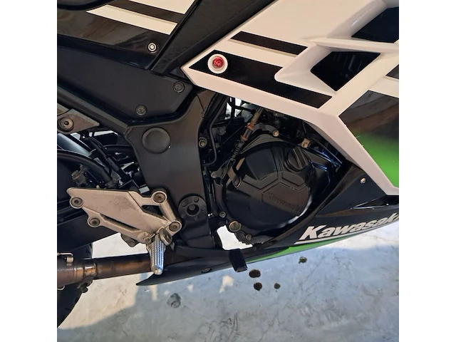 Motor, kawasaki, ninja 300 anniversary edition, 2015 - afbeelding 19 van  33