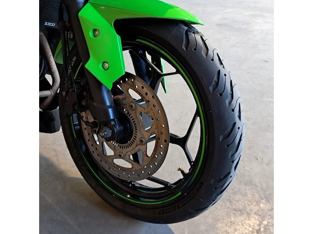 Motor, kawasaki, ninja 300 anniversary edition, 2015 - afbeelding 21 van  33