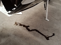 Motorfiets, triumph, daytona 675 - afbeelding 32 van  32