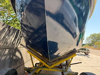 Motorjacht met aanhanger - afbeelding 45 van  47
