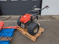 Motormaaier reform, m9 - afbeelding 7 van  14