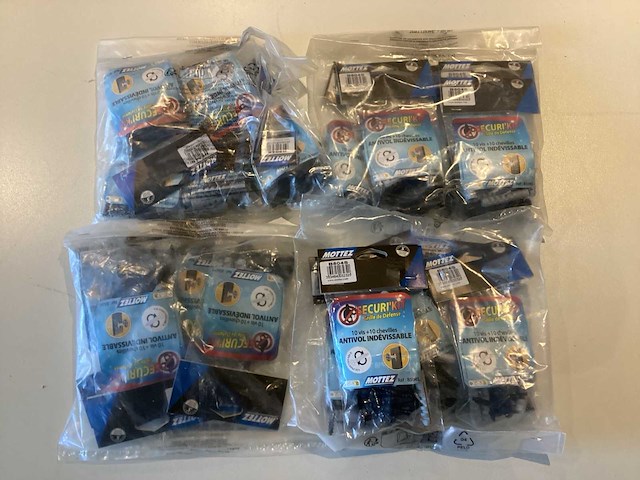 Mottez anti diefstal schroeven - afbeelding 1 van  3