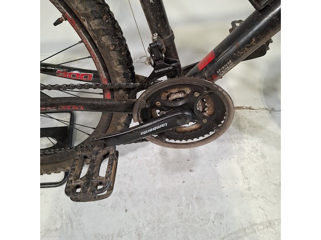 Mountainbike, lombardo, 300 - afbeelding 15 van  18