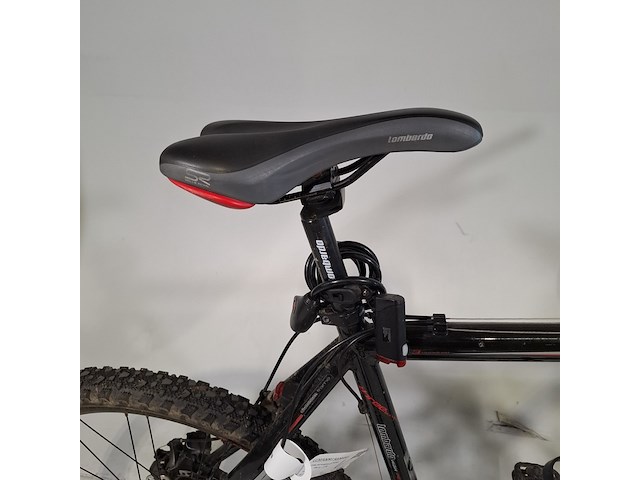 Mountainbike, lombardo, 300 - afbeelding 16 van  18