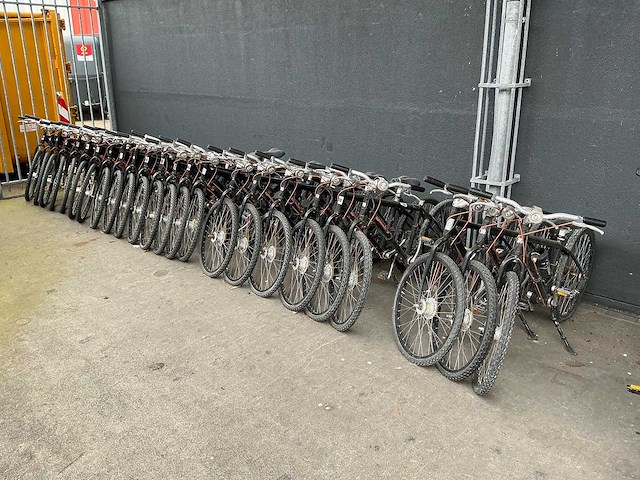 Mountainbike met cardan aandrijving (24x) - afbeelding 1 van  11