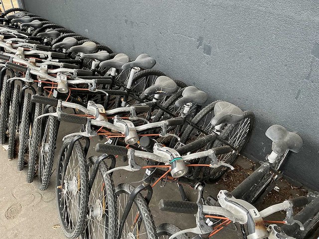 Mountainbike met cardan aandrijving (24x) - afbeelding 5 van  11