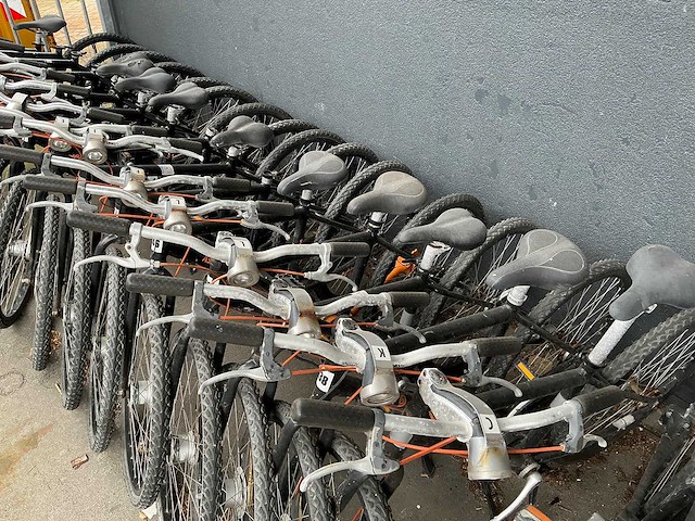 Mountainbike met cardan aandrijving (24x) - afbeelding 6 van  11