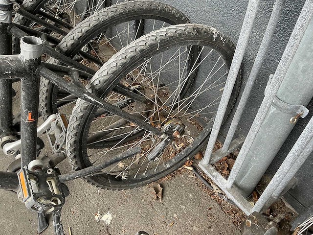 Mountainbike met cardan aandrijving (24x) - afbeelding 9 van  11